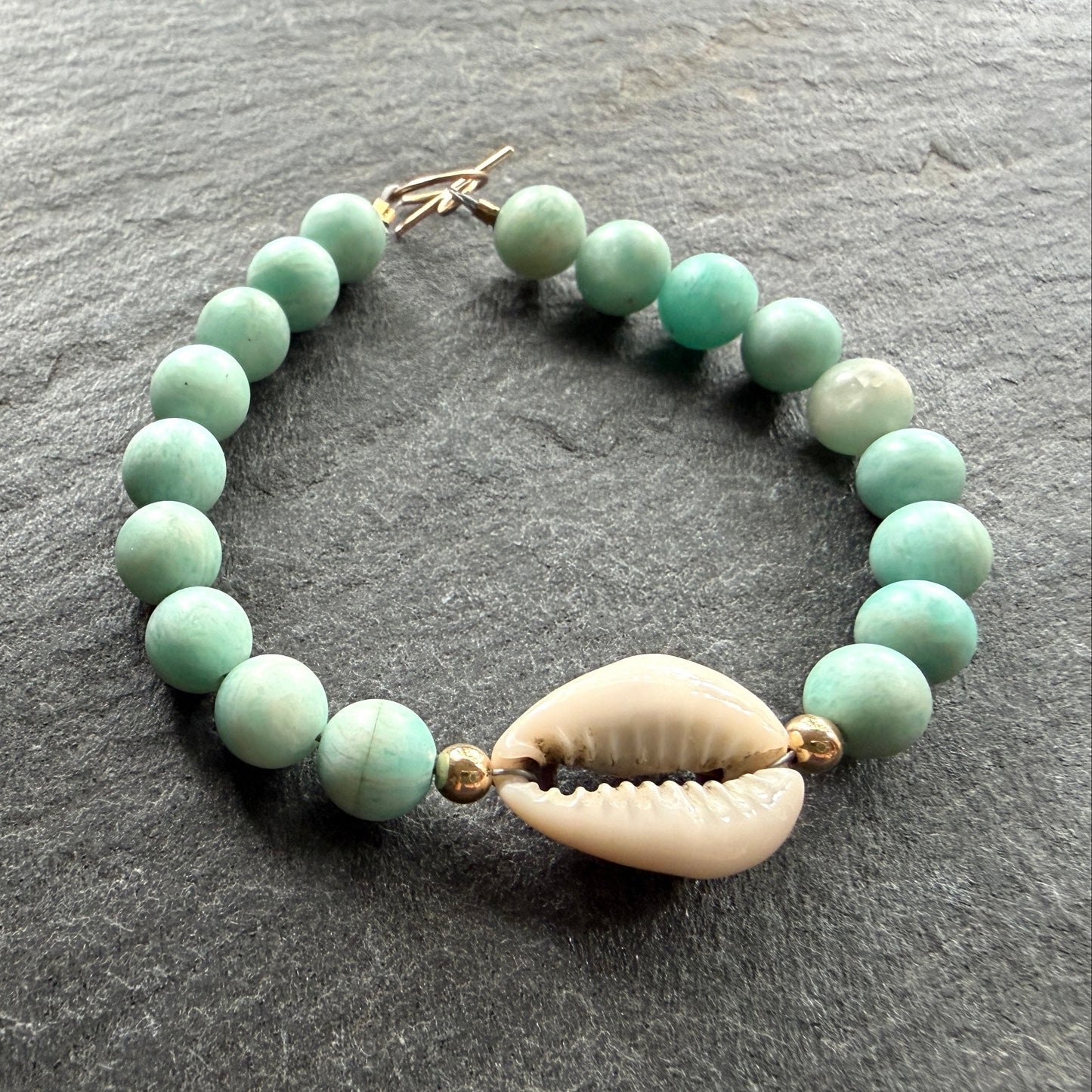 Laguna Cowrie
