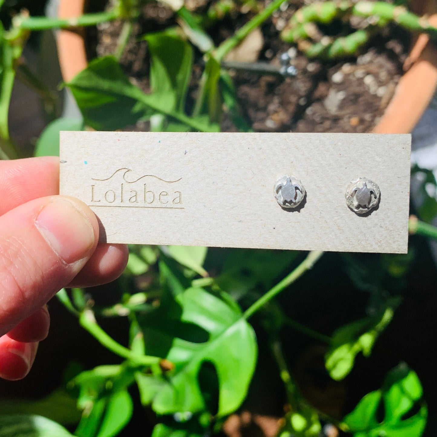 Turtle Studs