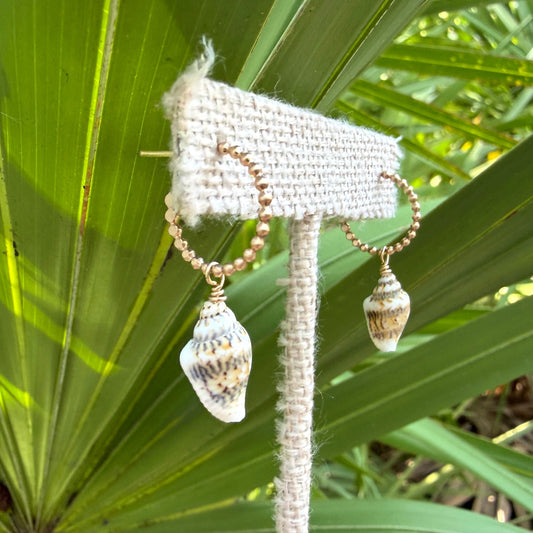 Little Conch Hoops