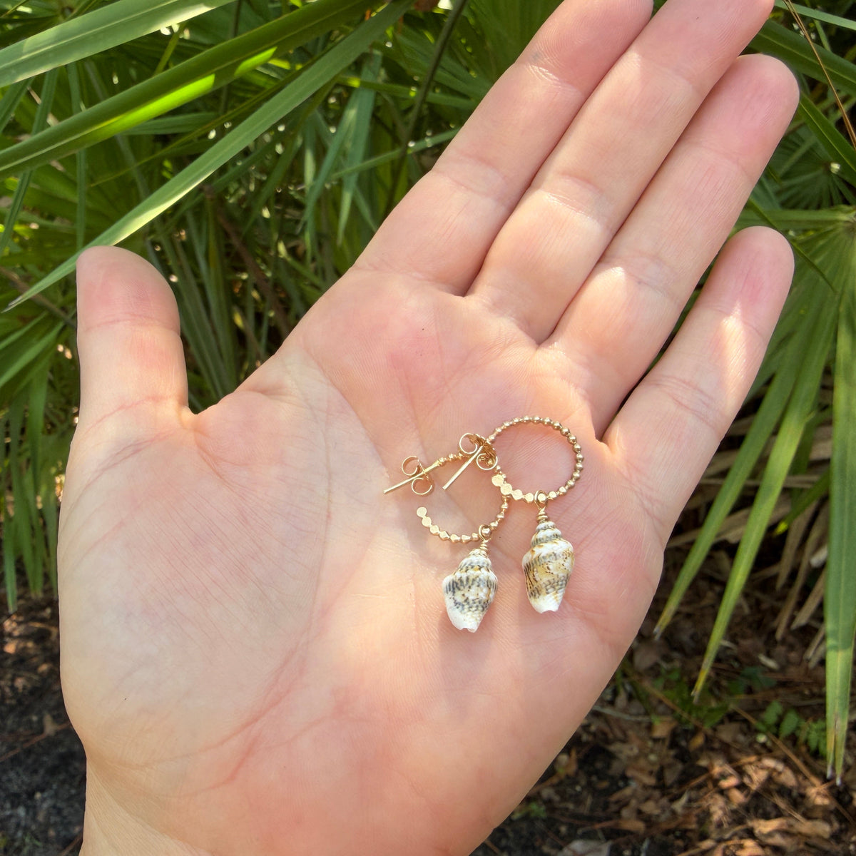 Little Conch Hoops