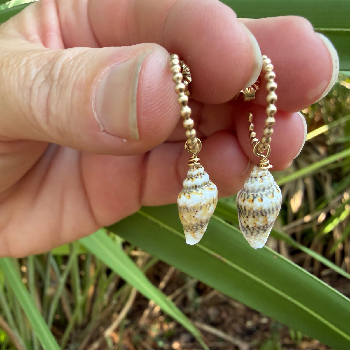 Little Conch Hoops