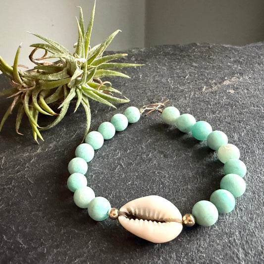 Laguna Cowrie
