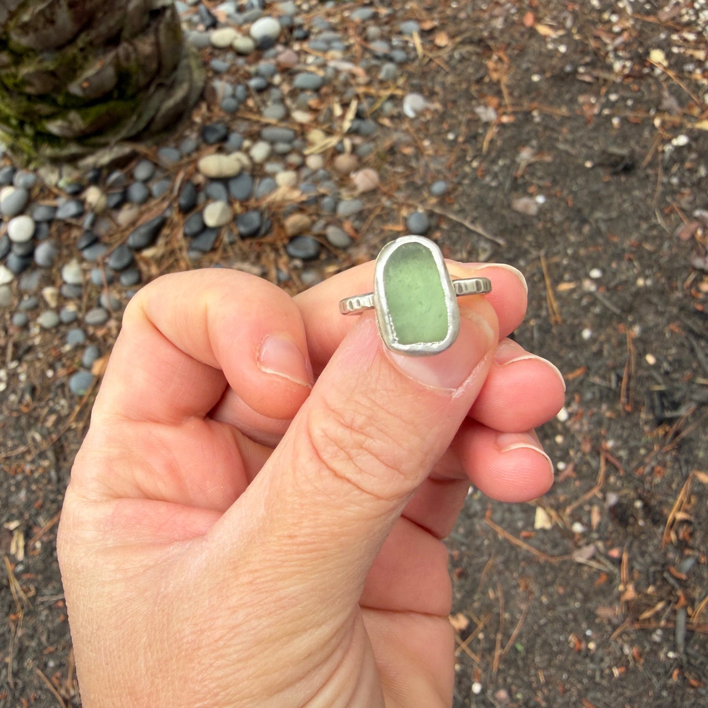 Low Tide Treasure