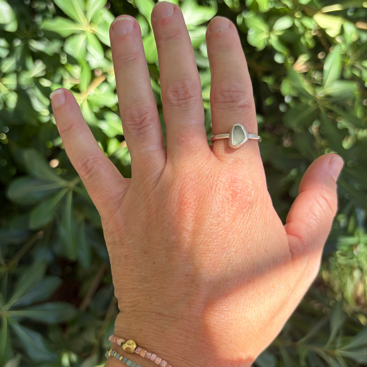 Low Tide Treasure